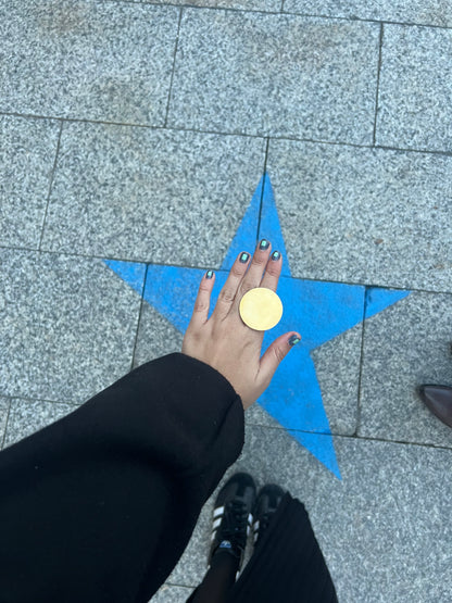 Fly me to the moon