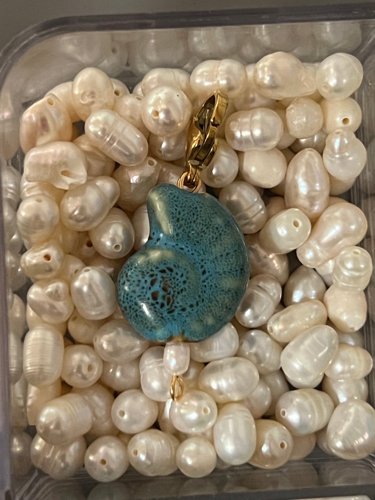 Charm caracola