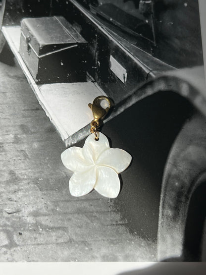 Hawaiian flower
