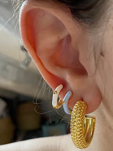 Aros escama